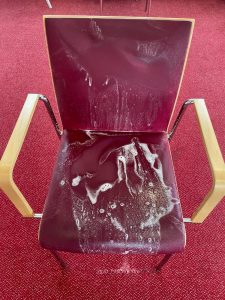 WhatsApp Image 2023-01-31 at 10.27.19